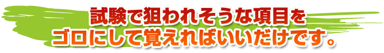 試験で狙われそうな項目をゴロにして覚えればいいだけです